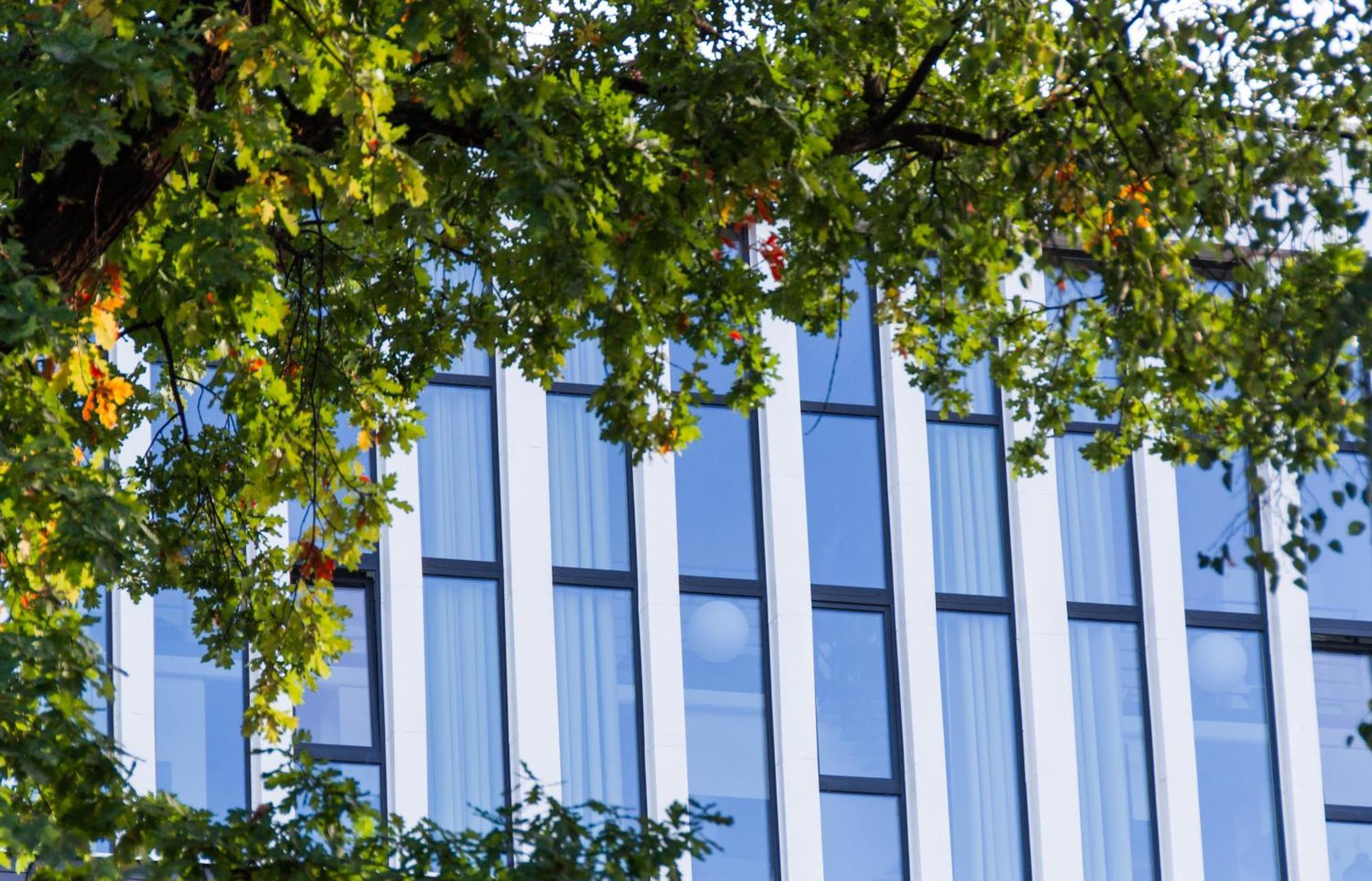 Topfloor Apartments Wilna Exterior foto